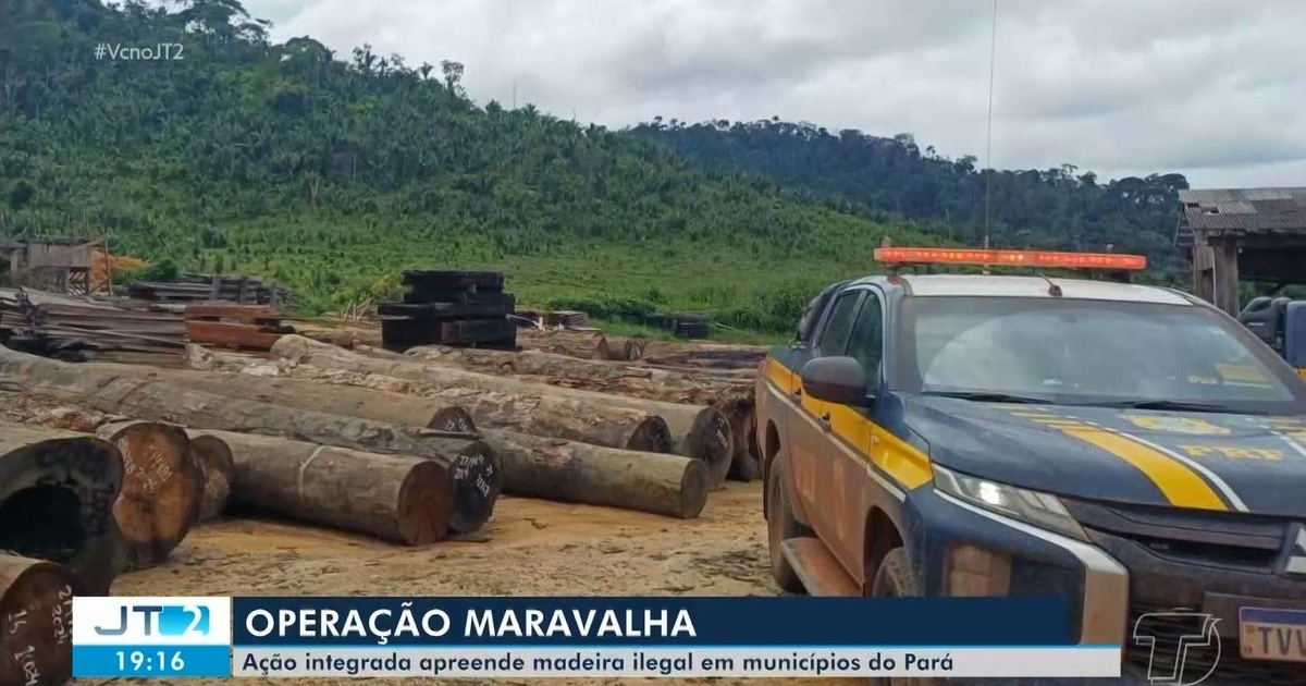 Polícia Federal e Ibama combatem extração ilegal de madeira no Pará